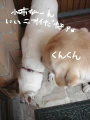 アメリカのカントリー風な朝ごはん_d0269832_11105877.jpeg