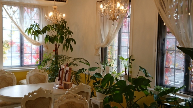 c0350439_17033567.jpg