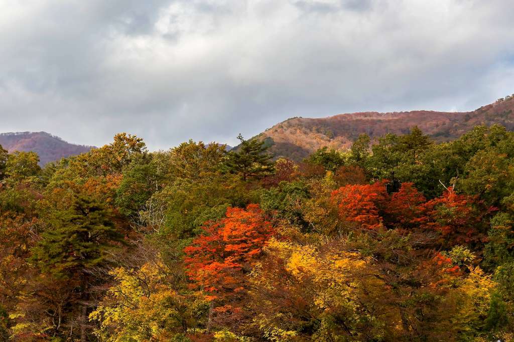 紅葉の鳴子狭_f0044056_07110075.jpg