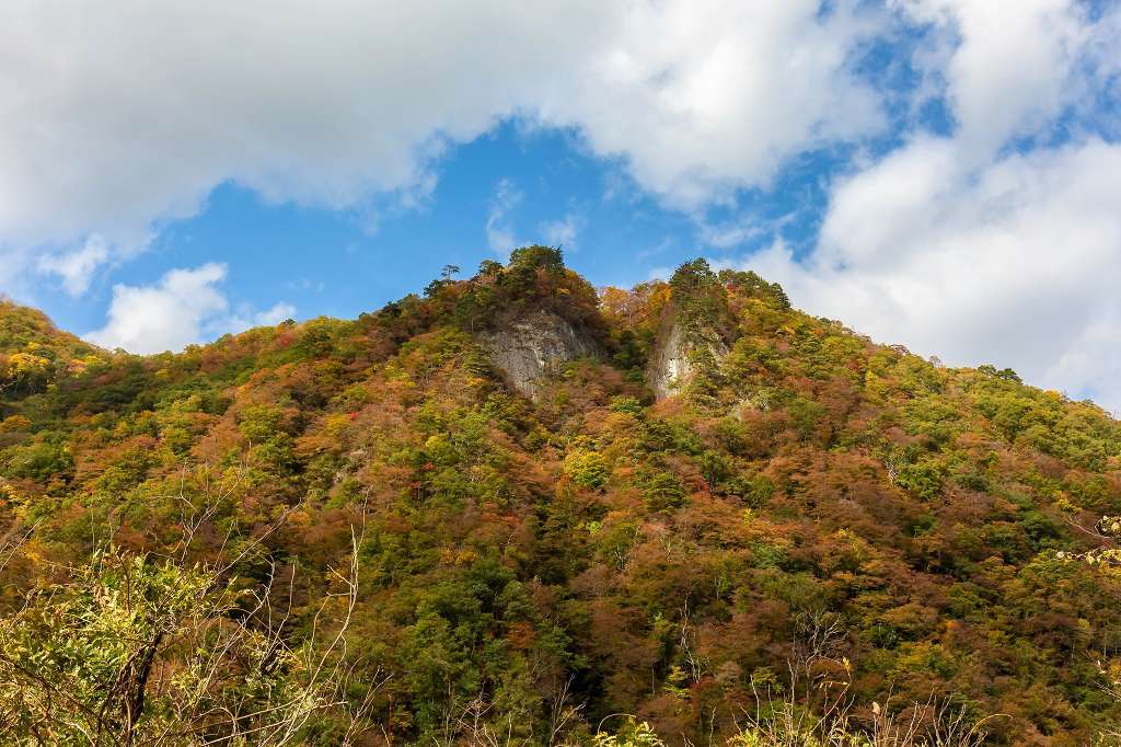 鳴子ダムの紅葉_f0044056_14452987.jpg