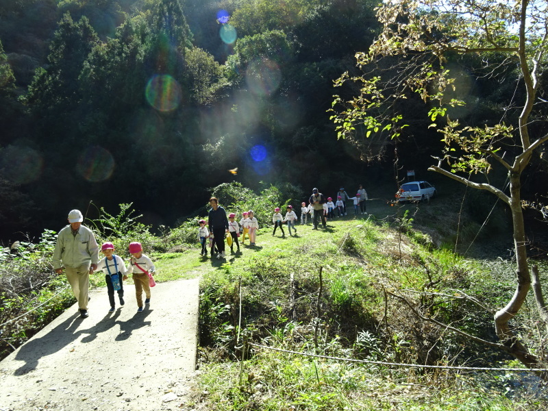 海星幼稚園年中組「里山遊び」 & ヒノキ間伐_c0108460_18010399.jpg