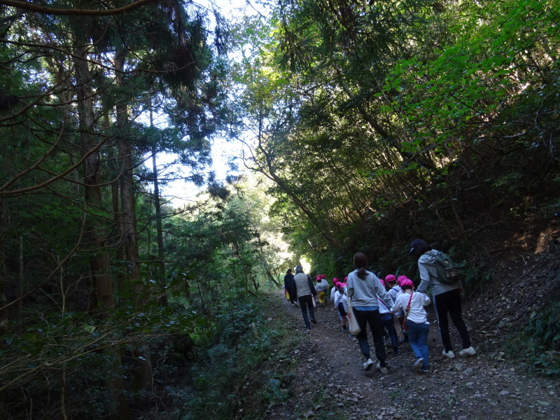 海星幼稚園年中組「里山遊び」 & ヒノキ間伐_c0108460_18010410.jpg