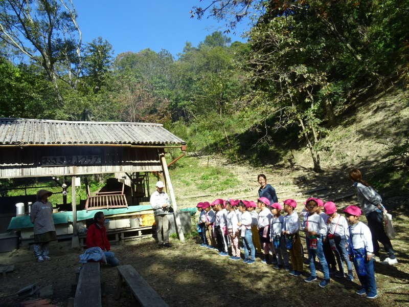 海星幼稚園年中組「里山遊び」 & ヒノキ間伐_c0108460_18015369.jpg