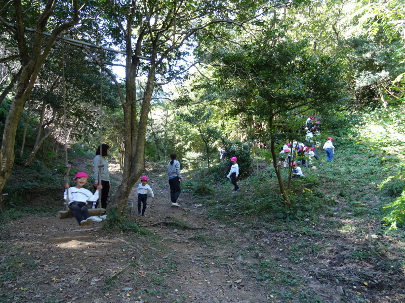 海星幼稚園年中組「里山遊び」 & ヒノキ間伐_c0108460_18015459.jpg