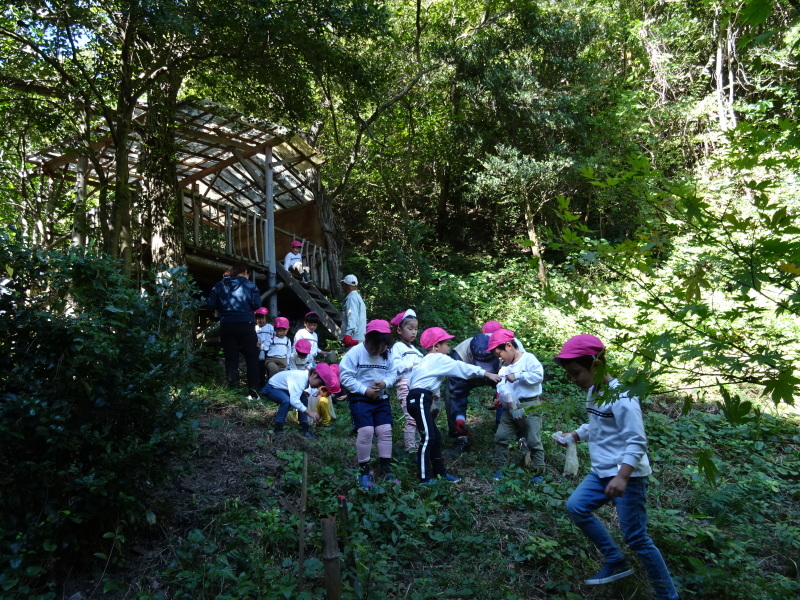 海星幼稚園年中組「里山遊び」 & ヒノキ間伐_c0108460_18034090.jpg