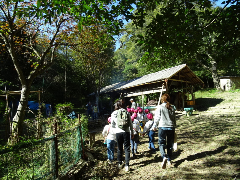 海星幼稚園年中組「里山遊び」 & ヒノキ間伐_c0108460_18034166.jpg