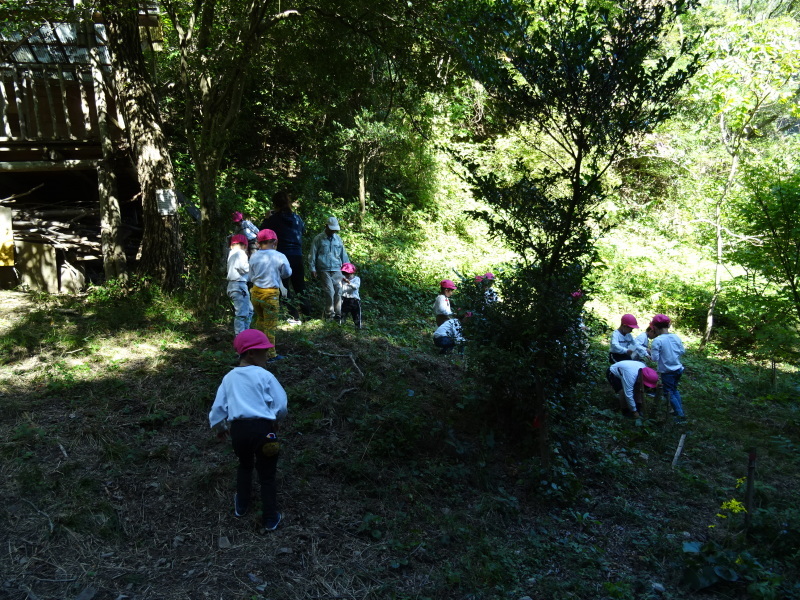 海星幼稚園年中組「里山遊び」 & ヒノキ間伐_c0108460_18052174.jpg