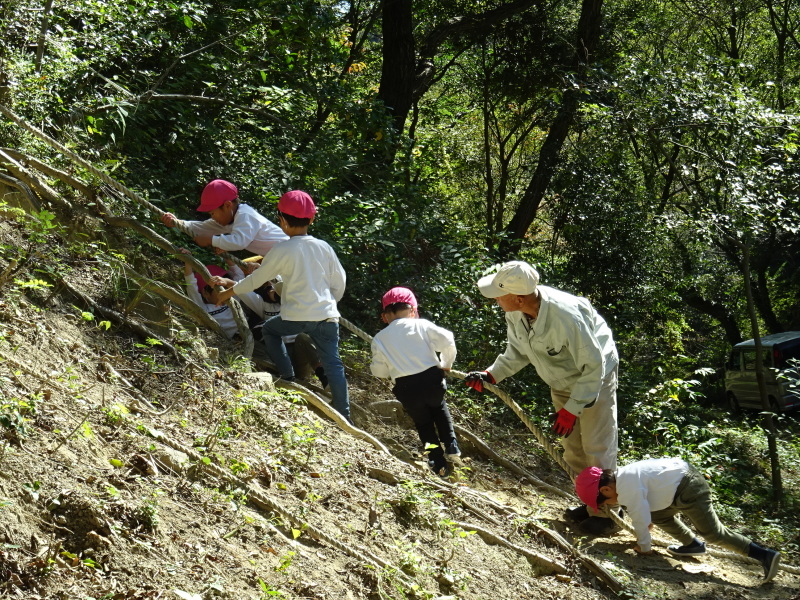 海星幼稚園年中組「里山遊び」 & ヒノキ間伐_c0108460_18062474.jpg