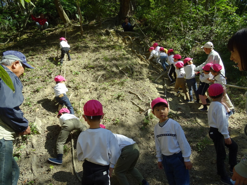 海星幼稚園年中組「里山遊び」 & ヒノキ間伐_c0108460_18062592.jpg