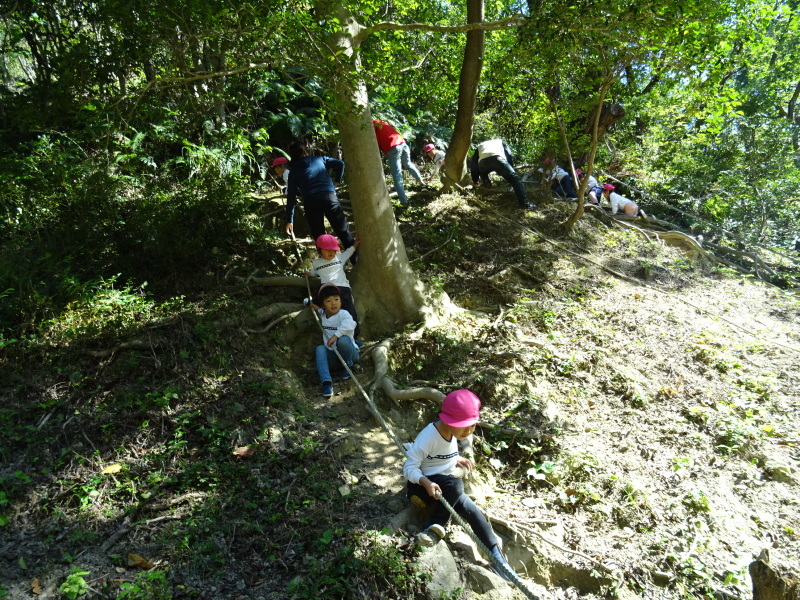 海星幼稚園年中組「里山遊び」 & ヒノキ間伐_c0108460_18073604.jpg
