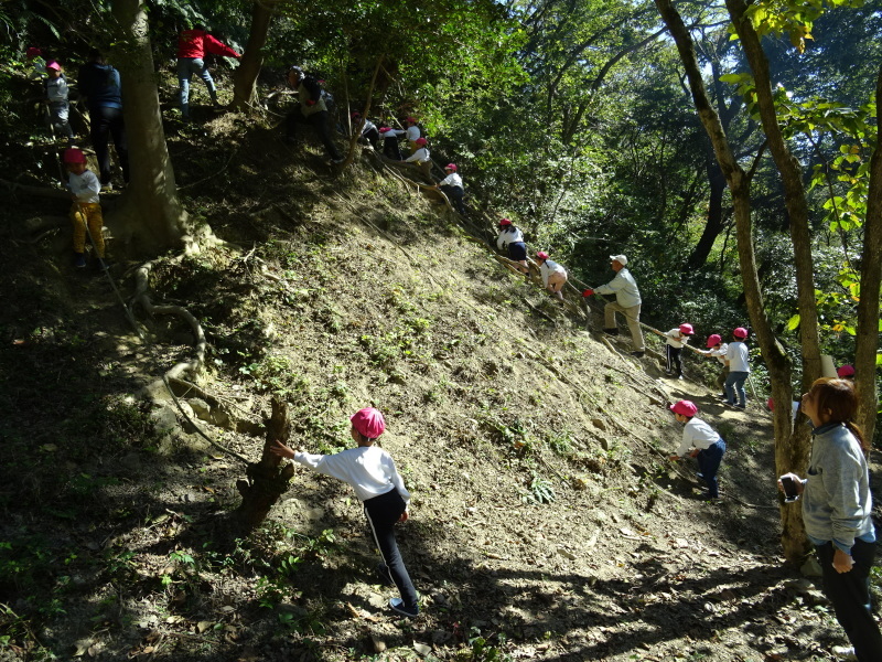 海星幼稚園年中組「里山遊び」 & ヒノキ間伐_c0108460_18073656.jpg