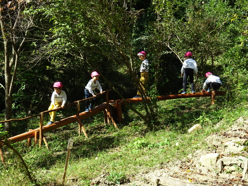 海星幼稚園年中組「里山遊び」 & ヒノキ間伐_c0108460_18081940.jpg