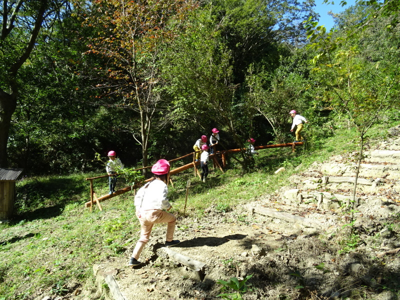 海星幼稚園年中組「里山遊び」 & ヒノキ間伐_c0108460_18081985.jpg