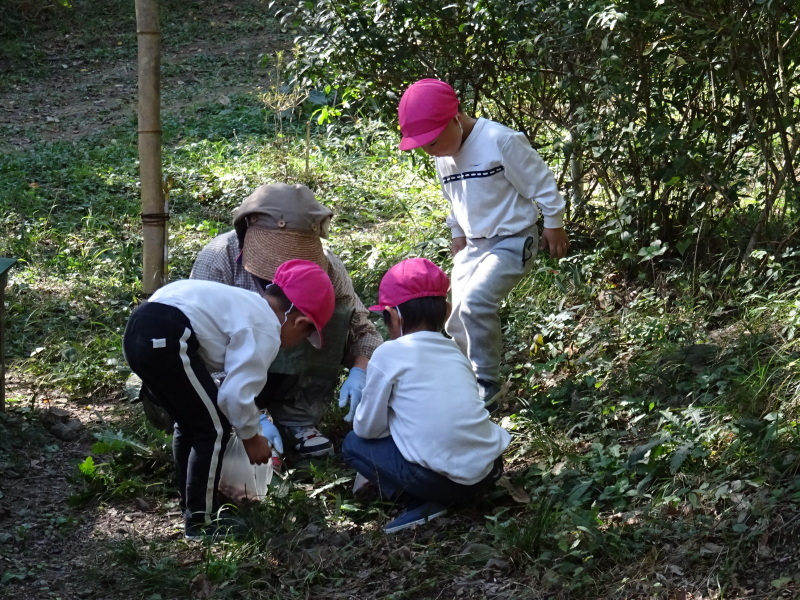 海星幼稚園年中組「里山遊び」 & ヒノキ間伐_c0108460_18085958.jpg