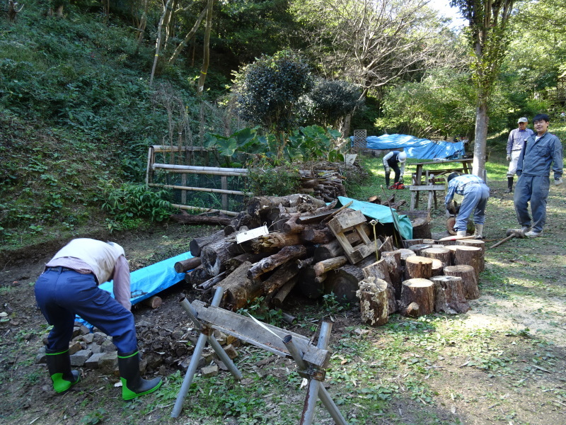 海星幼稚園年中組「里山遊び」 & ヒノキ間伐_c0108460_18124598.jpg