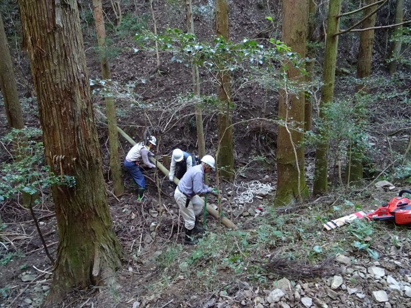 海星幼稚園年中組「里山遊び」 & ヒノキ間伐_c0108460_18151560.jpg