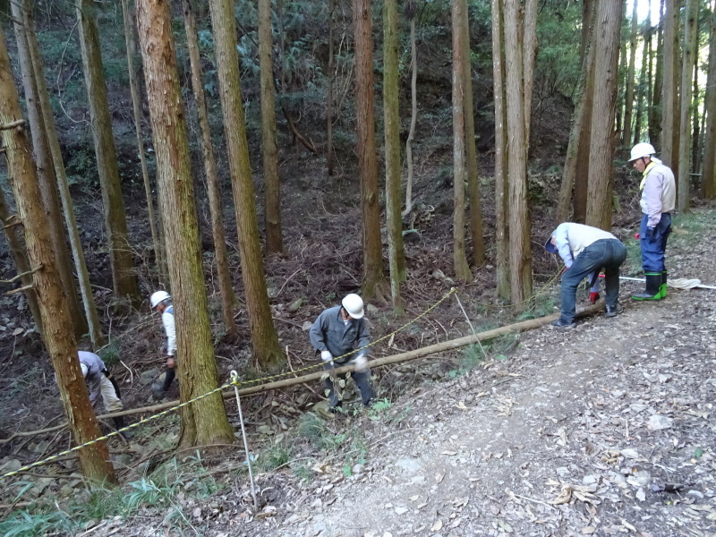 海星幼稚園年中組「里山遊び」 & ヒノキ間伐_c0108460_18162160.jpg