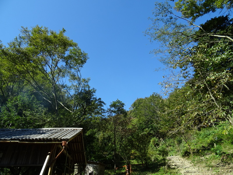 海星幼稚園年中組「里山遊び」 & ヒノキ間伐_c0108460_18201307.jpg