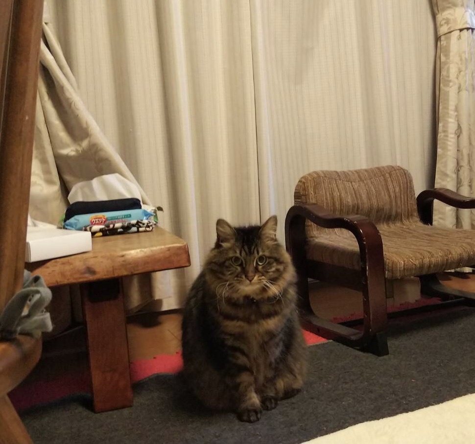 はるくん_a0064067_21243531.jpeg