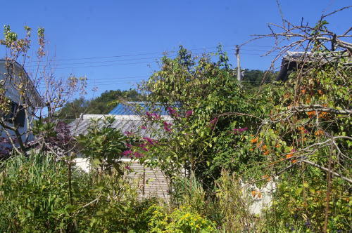 e0181373_20313321.jpg