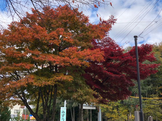 勝手に紅葉ツアー 田沢湖_e0355177_08294841.jpg