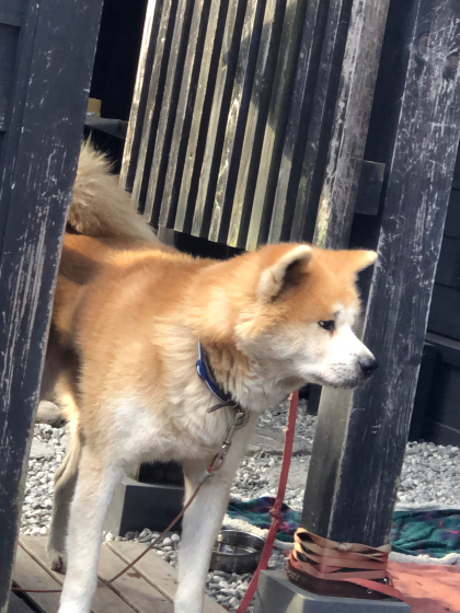 振り返りありがとうございました。_e0355177_20344466.jpg