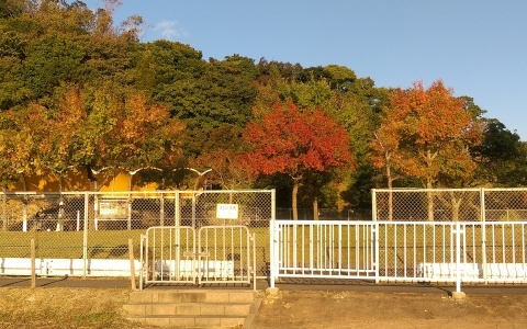 e0154682_16553430.jpg
