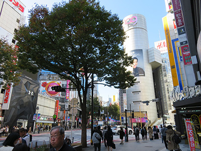 b0056983_16044661.jpg
