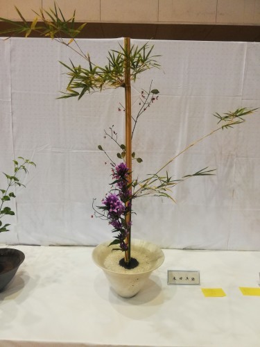 文化祭の生け込みと岡山県展示会への積み込み作業_d0195183_01525438.jpg