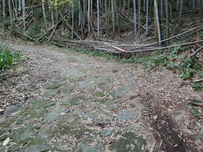 e0294183_10444112.jpg