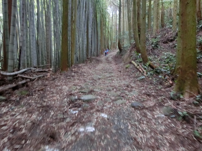 e0294183_10450548.jpg