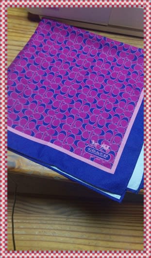 ふた付きポケットティッシュケースを作ってみた。。_a0390693_17293908.jpg