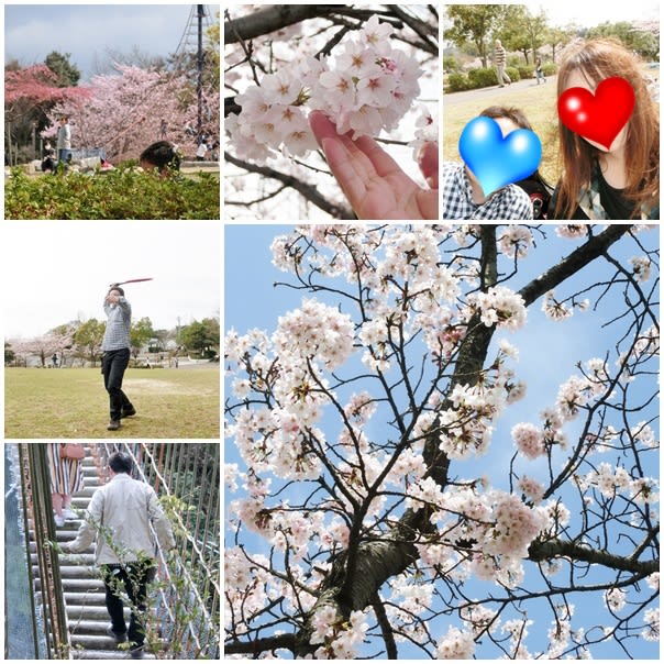 お花見。。_a0390693_17295564.jpg
