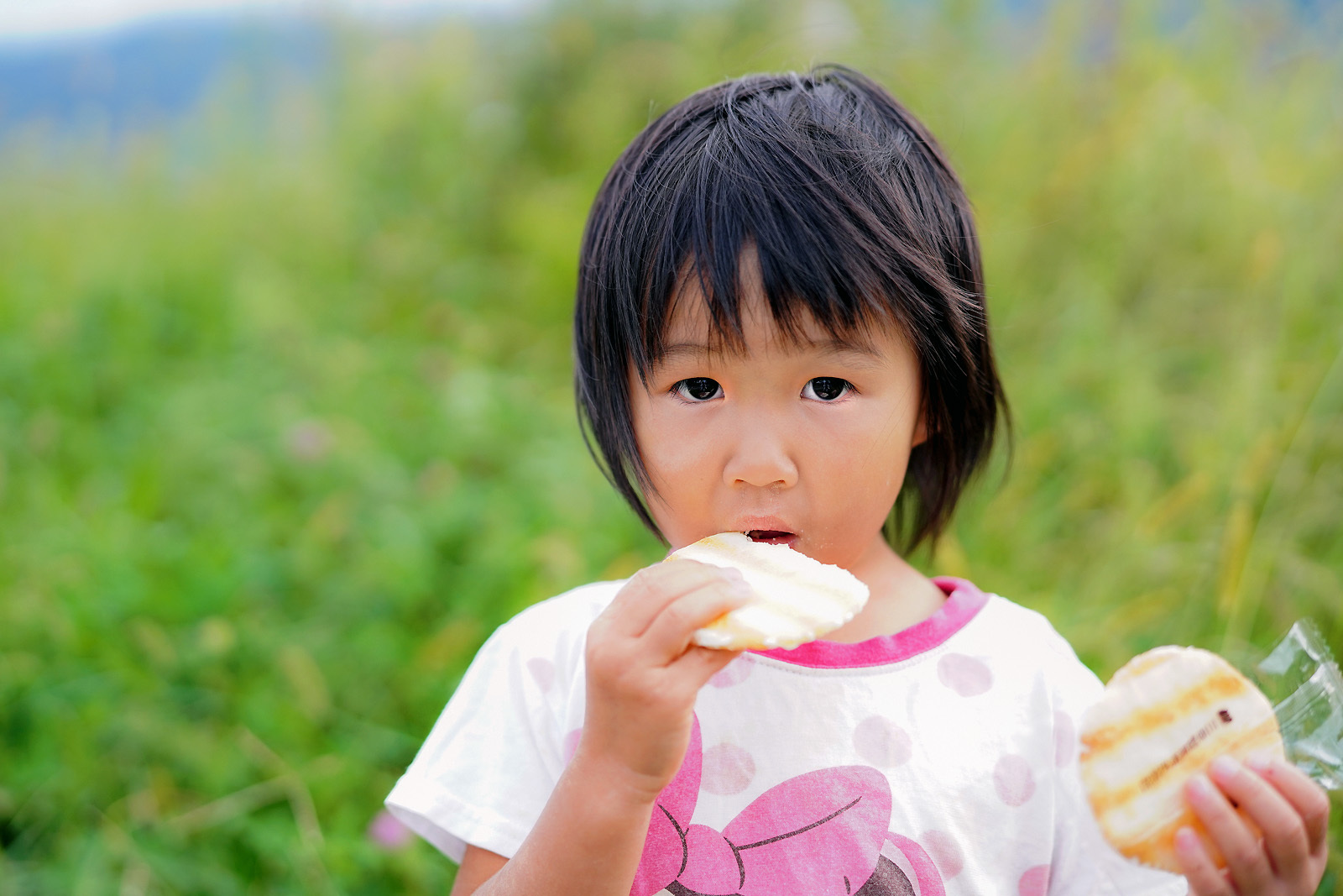 Planar T* 50mm F1.4 ZAで撮った写真_e0367501_16313643.jpg