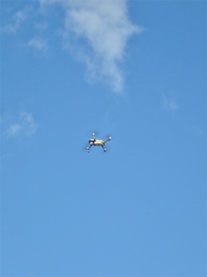 c0336902_22085709.jpg