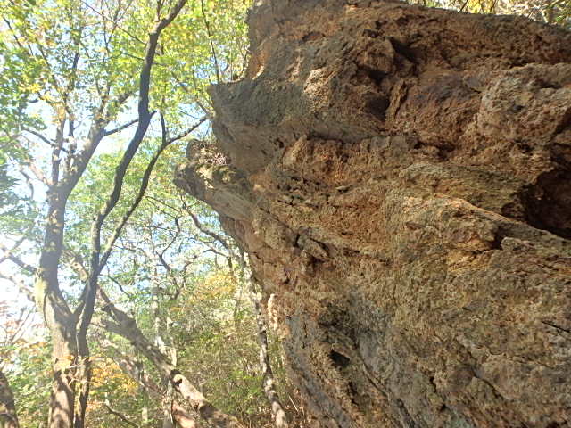 f0334143_1930193.jpg