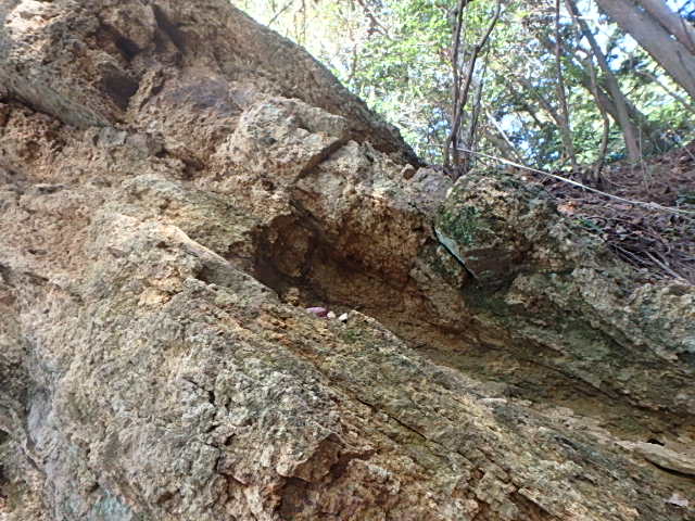 f0334143_19305927.jpg