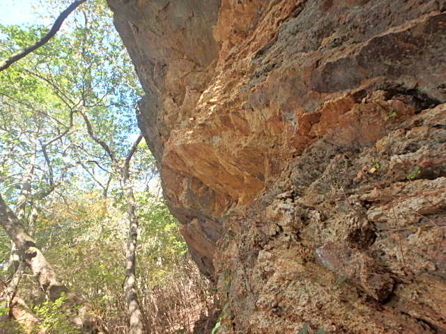 f0334143_19312059.jpg