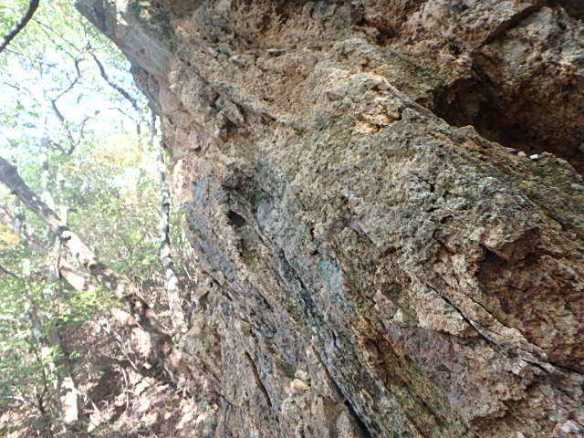 f0334143_193181.jpg
