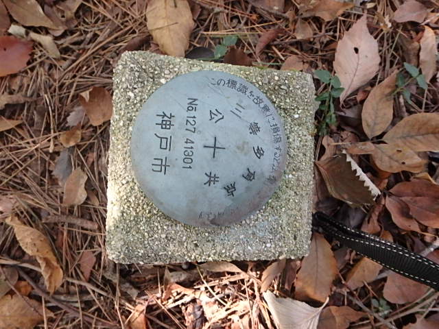 f0334143_19341354.jpg