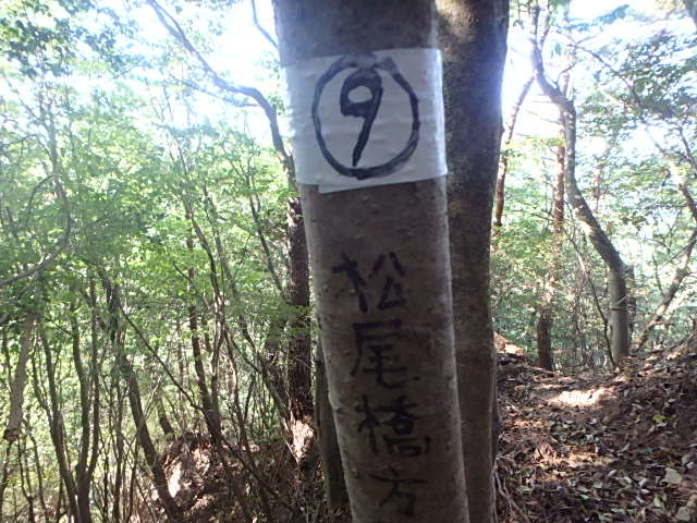 f0334143_1934650.jpg