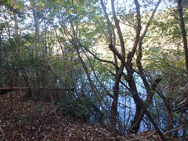 f0334143_19492360.jpg