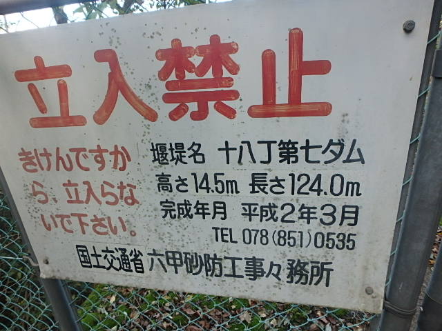 f0334143_19493516.jpg