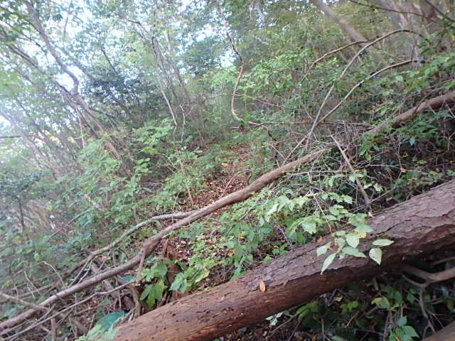 f0334143_19503962.jpg