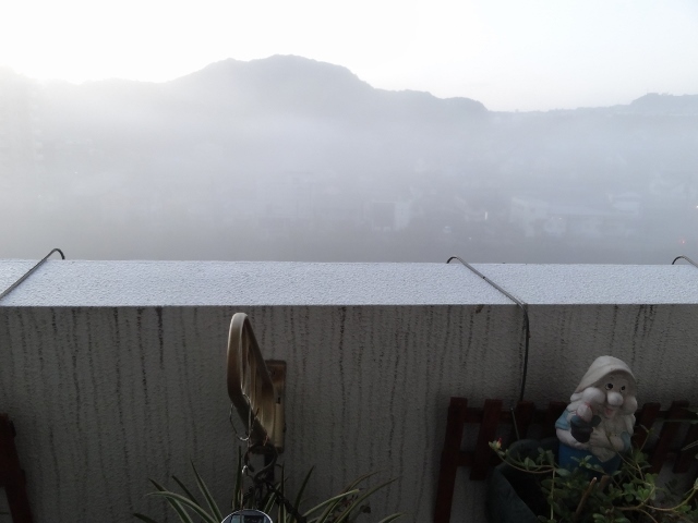 b0181748_18500140.jpg
