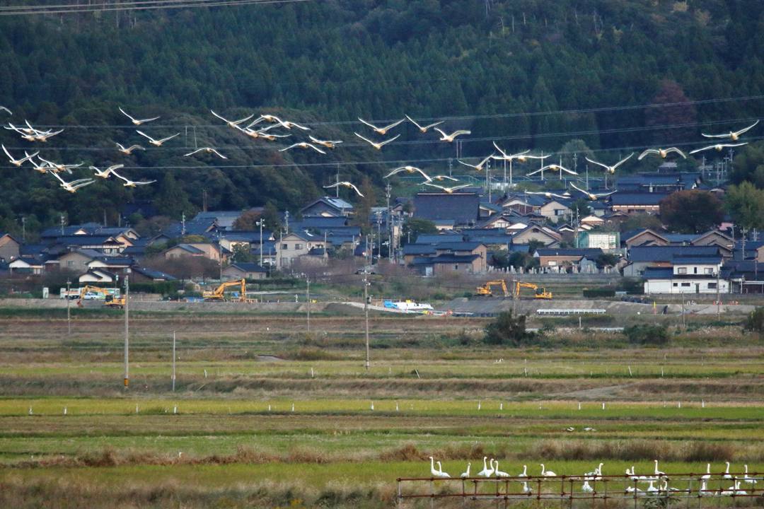 e0403850_21323954.jpg