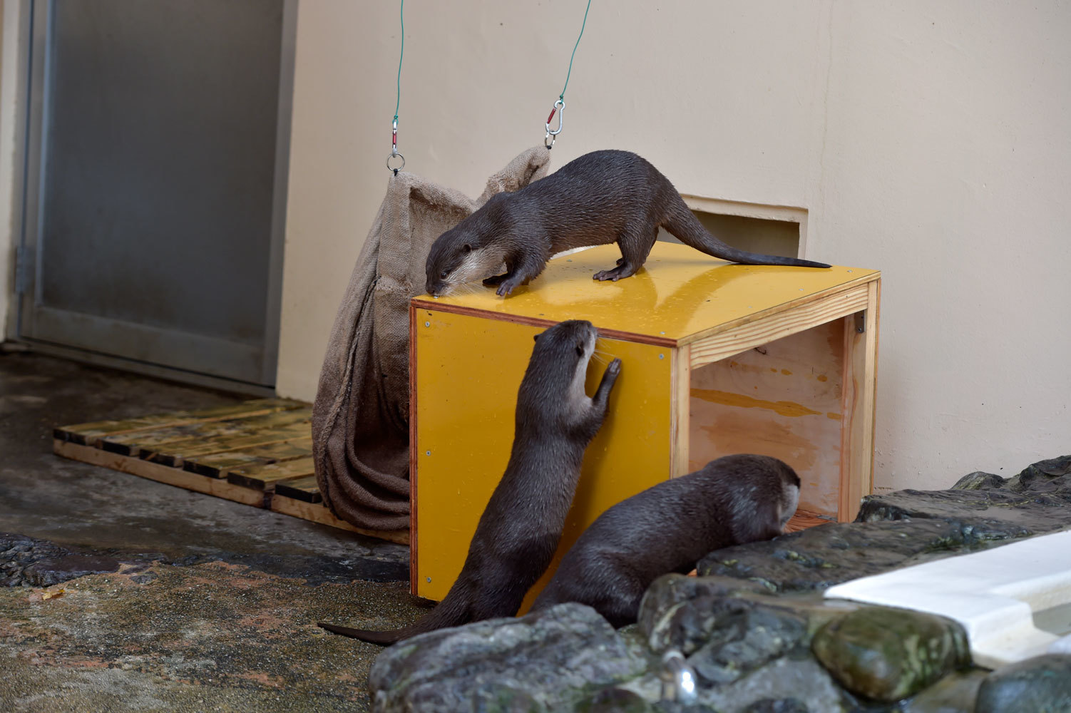 小さな動物園_b0023856_06564278.jpg