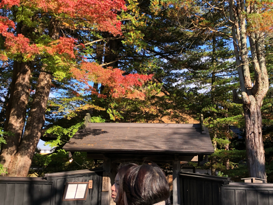 勝手に紅葉ツアー2019 角館のあのヒト_e0355177_16151725.jpg