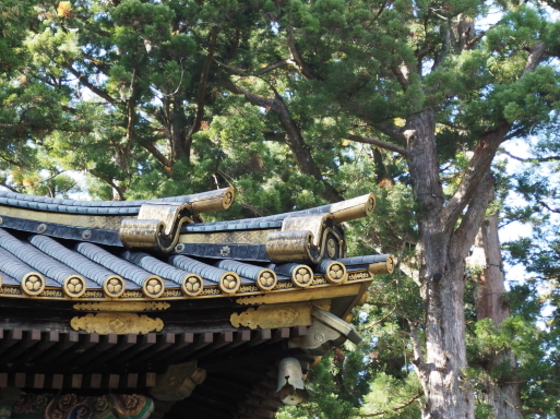 秋の一人旅　その5　日光東照宮③_f0197985_20065816.jpg