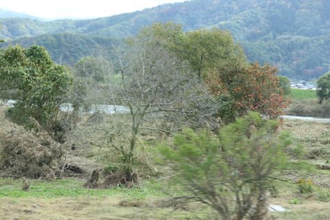 c0090198_14054532.jpg